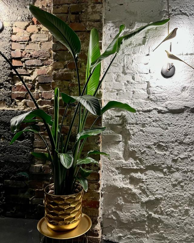 TU-TAJ THAI RESTO